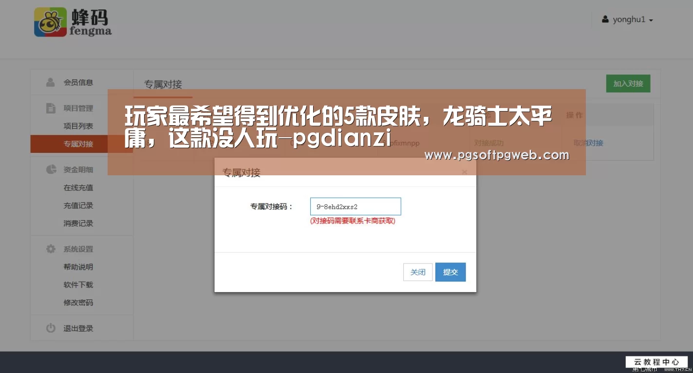 玩家最希望得到优化的5款皮肤，龙骑士太平庸，这款没人玩-pgdianzi(图4)
