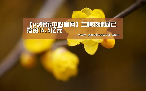 pg娱乐中心官网