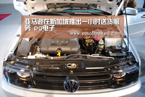 亚马逊在新加坡推出一小时送货服务_pg电子(图1)