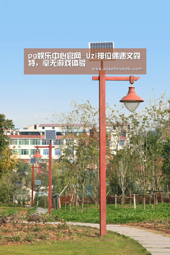 pg电子官网